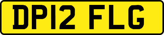 DP12FLG
