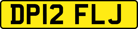 DP12FLJ
