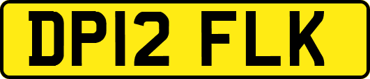 DP12FLK