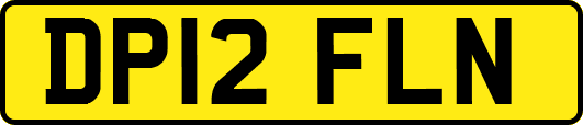 DP12FLN