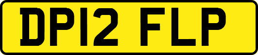 DP12FLP
