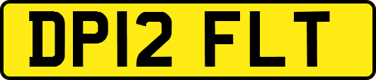 DP12FLT