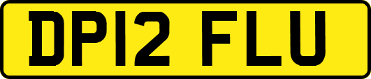 DP12FLU
