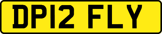 DP12FLY