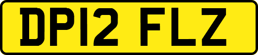 DP12FLZ