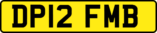 DP12FMB