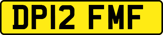 DP12FMF