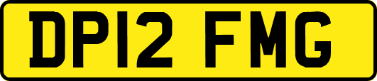 DP12FMG