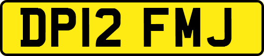 DP12FMJ