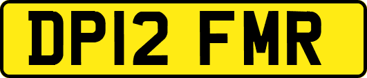 DP12FMR