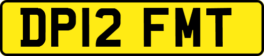 DP12FMT