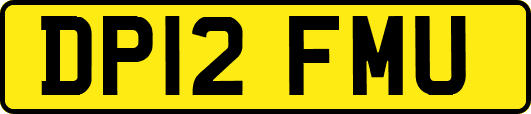 DP12FMU
