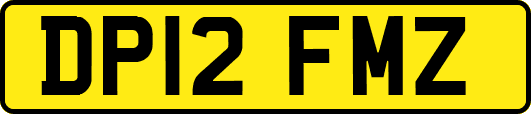 DP12FMZ