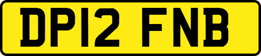 DP12FNB