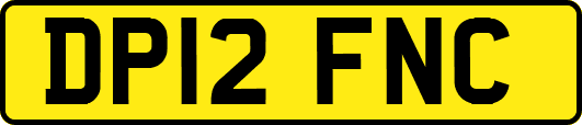 DP12FNC
