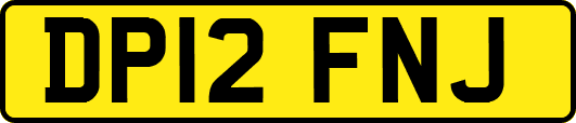 DP12FNJ