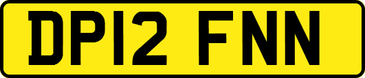 DP12FNN