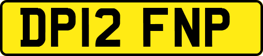 DP12FNP