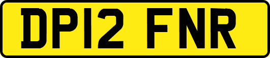 DP12FNR