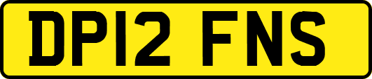 DP12FNS