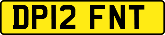 DP12FNT