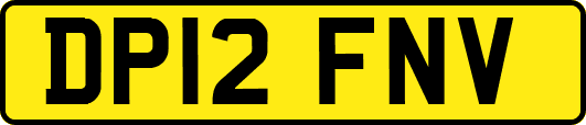 DP12FNV