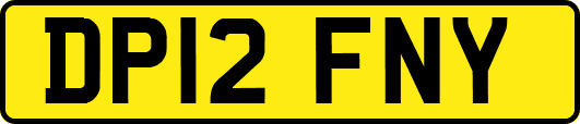 DP12FNY