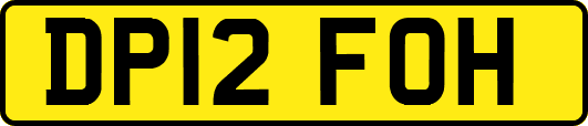DP12FOH