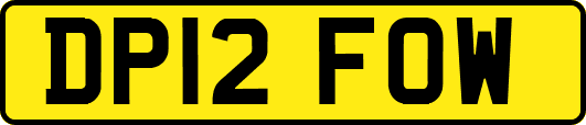 DP12FOW