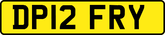 DP12FRY