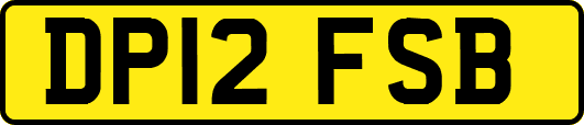 DP12FSB