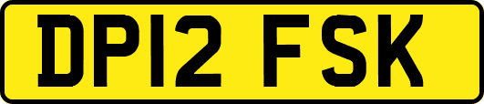 DP12FSK