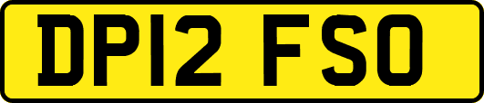 DP12FSO