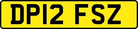 DP12FSZ