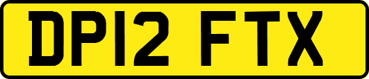 DP12FTX