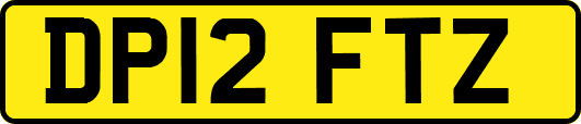 DP12FTZ