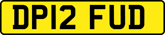 DP12FUD
