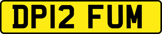 DP12FUM