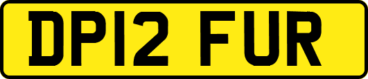 DP12FUR