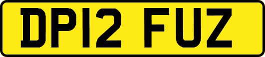 DP12FUZ