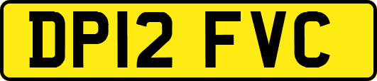DP12FVC