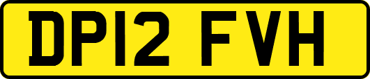 DP12FVH