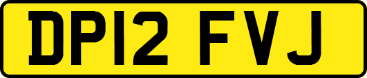DP12FVJ