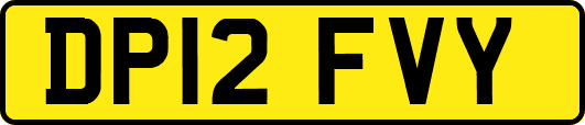 DP12FVY