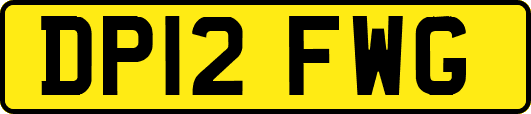 DP12FWG