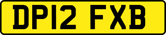 DP12FXB