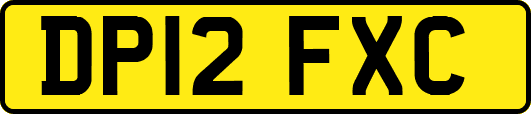 DP12FXC