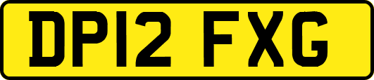 DP12FXG