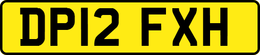 DP12FXH