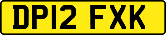 DP12FXK